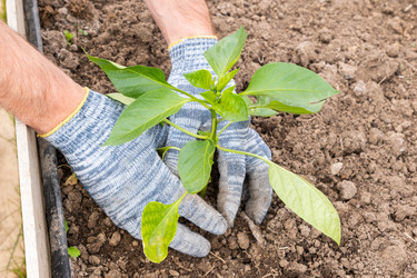 Similar image 21121696