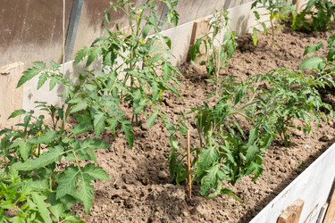 Similar image 21121697