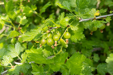 Similar image 21121699