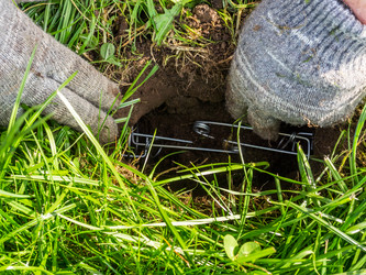 Similar image 21121703