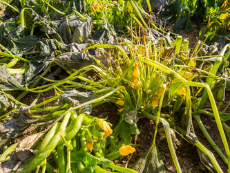 Similar image 21121705