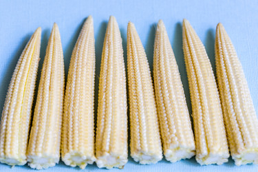 Similar image 21121711