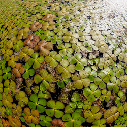 Similar image 21121715