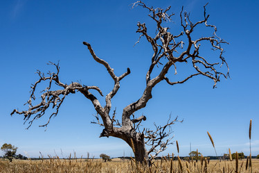 Similar image 21121722