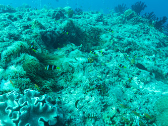 Similar image 21121724