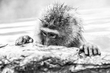 Similar image 21121731