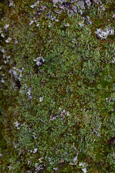 Similar image 21121761