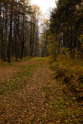 Similar image 21121762