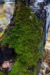 Similar image 21121763