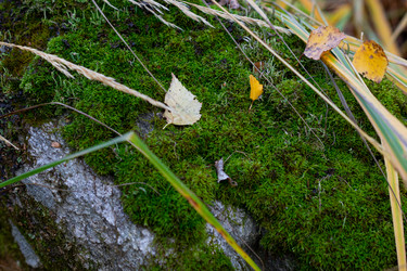 Similar image 21121764