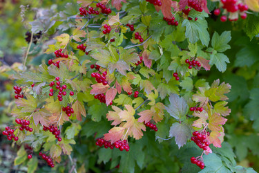 Similar image 21121765