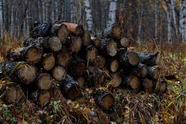 Similar image 21121771