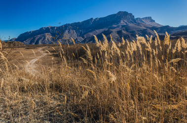 Similar image 21122042