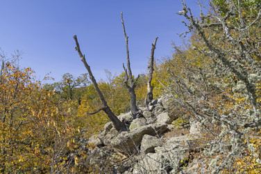 Similar image 21121803