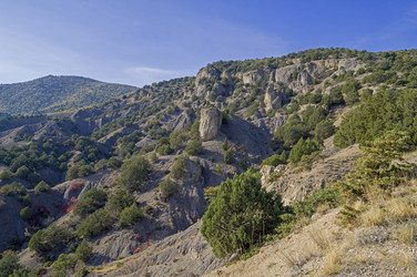 Similar image 21121806