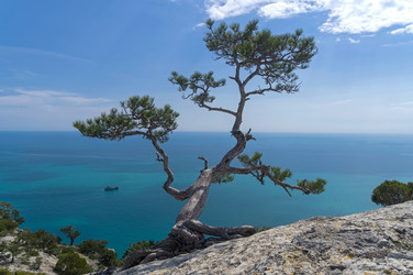 Similar image 21121807