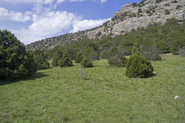 Similar image 21121808