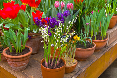 Similar image 21121814