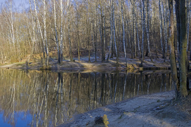 Similar image 21122048