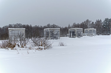 Similar image 21122050