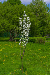 Similar image 21122052