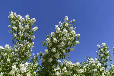 Similar image 21122053