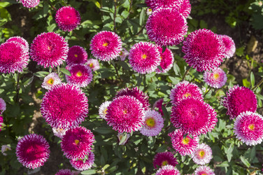 Similar image 21122055