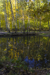 Similar image 21122060