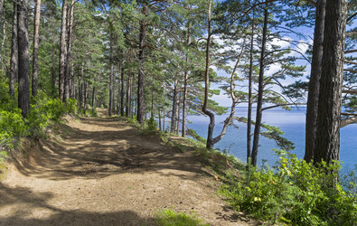 Similar image 21122061