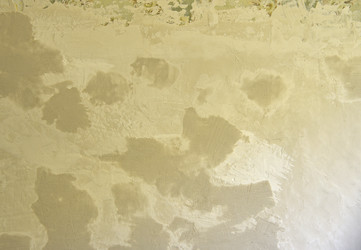 Similar image 21121829