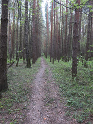 Similar image 21121836