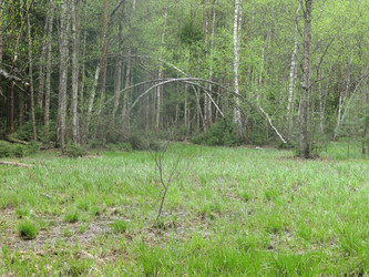 Similar image 21121837