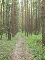 Similar image 21121838