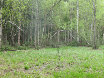 Similar image 21121839