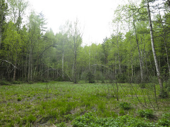 Similar image 21121840