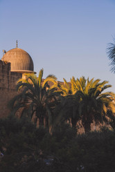 Similar image 21122069