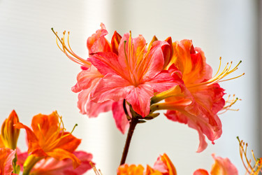 Similar image 21121841