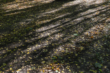 Similar image 21121842