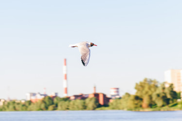 Similar image 21124147