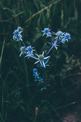 Similar image 21124158