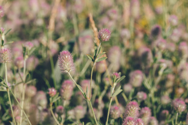 Similar image 21124175