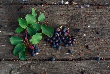 Similar image 21123931