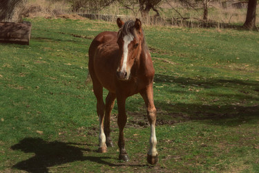 Similar image 21121845