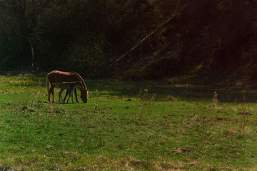 Similar image 21121846