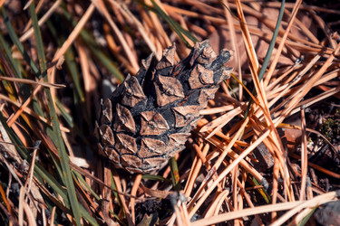 Similar image 21121848