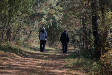 Similar image 21121849