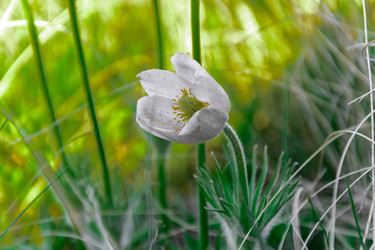 Similar image 21121850