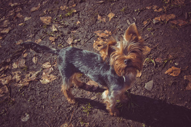 Similar image 21121851