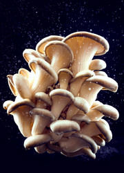 Similar image 21122853