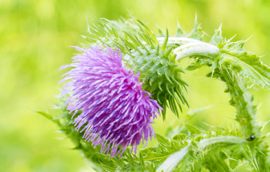 Similar image 21123116